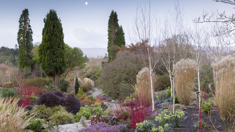 The colourful Winter Garden at Bodnant Garden, Wales, photographed at dawn, Conwy, Wales